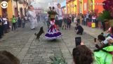 Câinii care participă la un dans traditional mexican