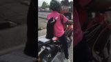 En kat pillion på en motorcykel
