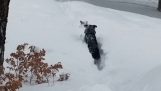 Куче помага на приятеля си от снега