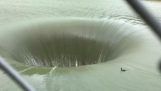 Eine Ente verschwindet in einem Wasserloch