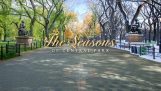 All the seasons of the year in Central Park