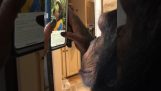 Bir akıllı telefon kullanarak şempanze