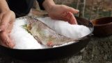 Trout baked in salt