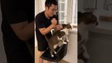 Masáž u koček