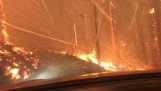 Al pasar por un incendio forestal en coche