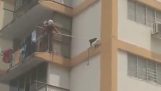 kat redning fra 10. etage i en bygning
