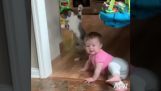 Gatto del bambino spaventato