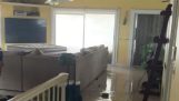 Vannet kommer i første etasje i et hus i Bahamas (orkanen Dorian)