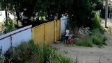 Twee kinderen proberen om een ​​kruiwagen te stelen
