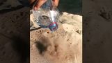 Хвърляне вода на горещия пясък (Катар)