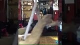En øgle make pole dancing