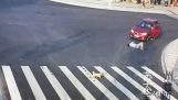 A dog is more careful than a man at an intersection