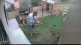 Homem que tenta limpar os roedores a partir do jardim
