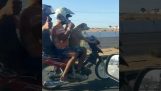Собака несет два человека с его мотоциклом