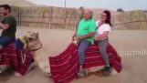 Δύο τουρίστες πάνω σε μια καμήλα