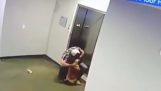 Человек спасает собаку перед лифтом