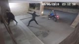 Burglar hits the accomplice of a brick (London)