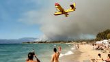 avions de lutte contre les incendies de Canadair remplissent l'eau de la plage de Chalkida