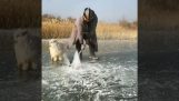Horgászat a jég (Mongólia)