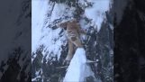 Een snowboarder geïmmobiliseerd op een rots