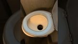 Plumbing of a toilet in a train