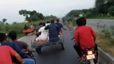 Wypadek w wyścigu z wołów (Indie)