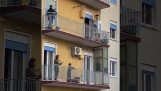Italienarna sjunga på balkongerna på grund av coronavirus