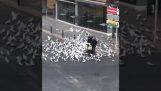 Kobieta otoczona gołębi w pustych ulicach Hiszpanii