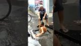 Un idraulico senza paura disfa un pozzo (Indonesia)