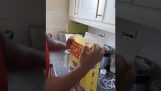 Различен начин да затворите кутията със зърнени култури