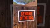Caution! Dog!