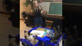 Dievčatko sa učí maľovať mačky