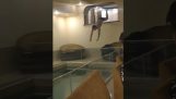 Dykk ned i et innendørs basseng