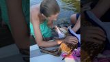 انقاذ غزال صغير من الغرق
