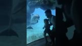 Père et fille s'amusent avec un dauphin