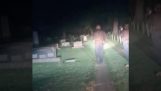 Zwei mutige Polizisten patrouillieren auf einem Friedhof