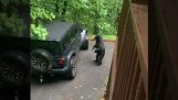 Medveď sa chcel dostať do auta