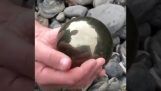 Fossil амонит в камък