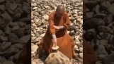 Um monge Shaolin quebra pedras