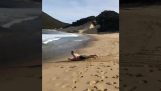 Surffaus hiekasta merelle