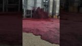 Bir tankta şarap dökülmesi 50.000 litre