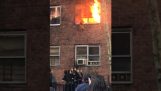 Kočka skočí z hořící budovy