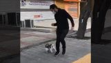 Kedi yoldan geçenlere saldırır