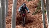 Andar de bicicleta no outono