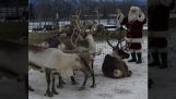 圣诞老人在大日子之前向驯鹿发出指示
