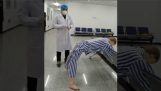 중국에서 코로나 19에 대한 새로운 진단 테스트