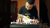 Pianon kanssa pehmoinen kissa