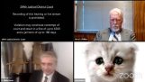 Právnik s mačacím filtrom na webovom stretnutí