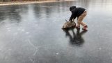 مساعدة الغزلان عالقة في الجليد