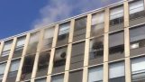 Kočka skočí ze 4. patra hořící budovy